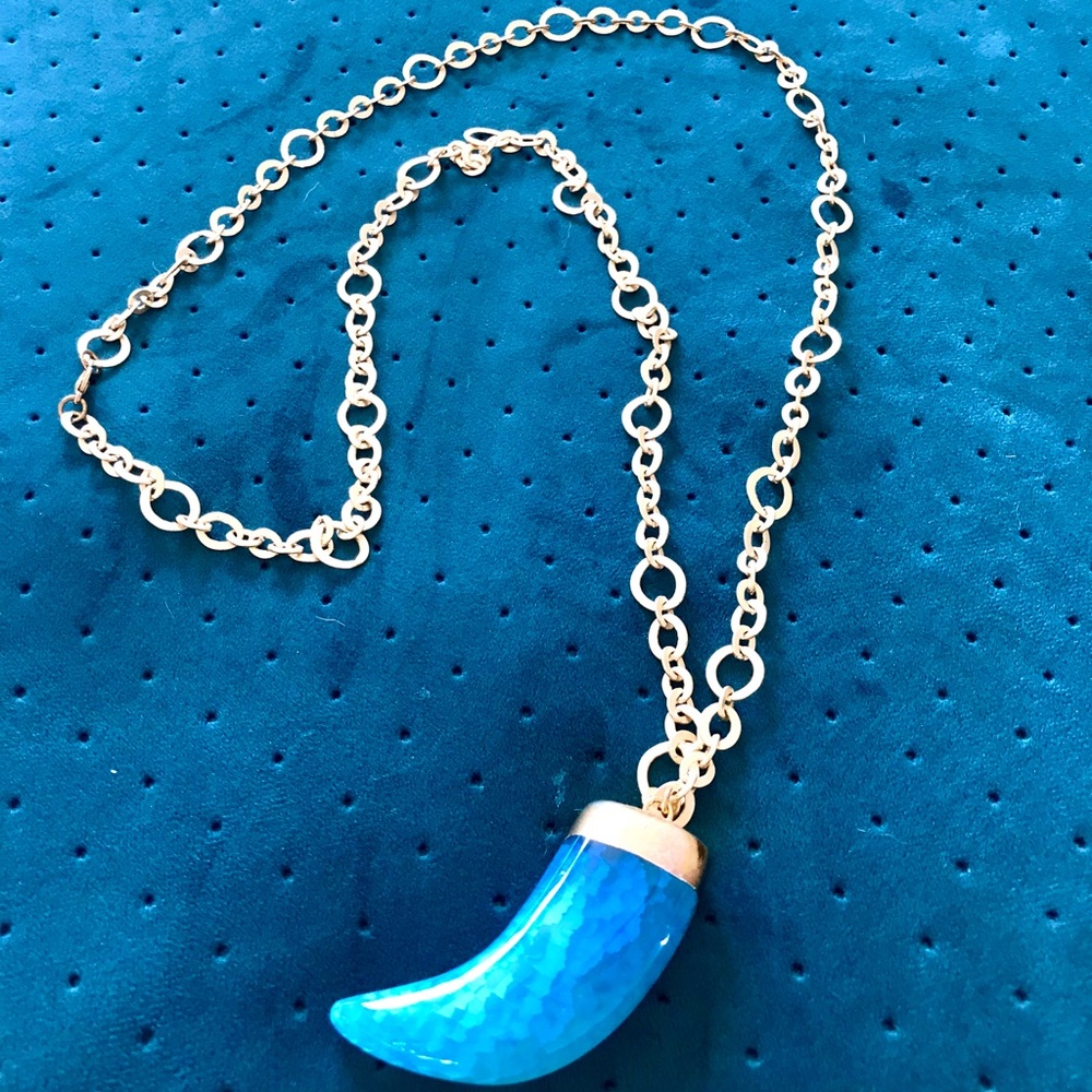 Long Statement Necklace with Blue Horn